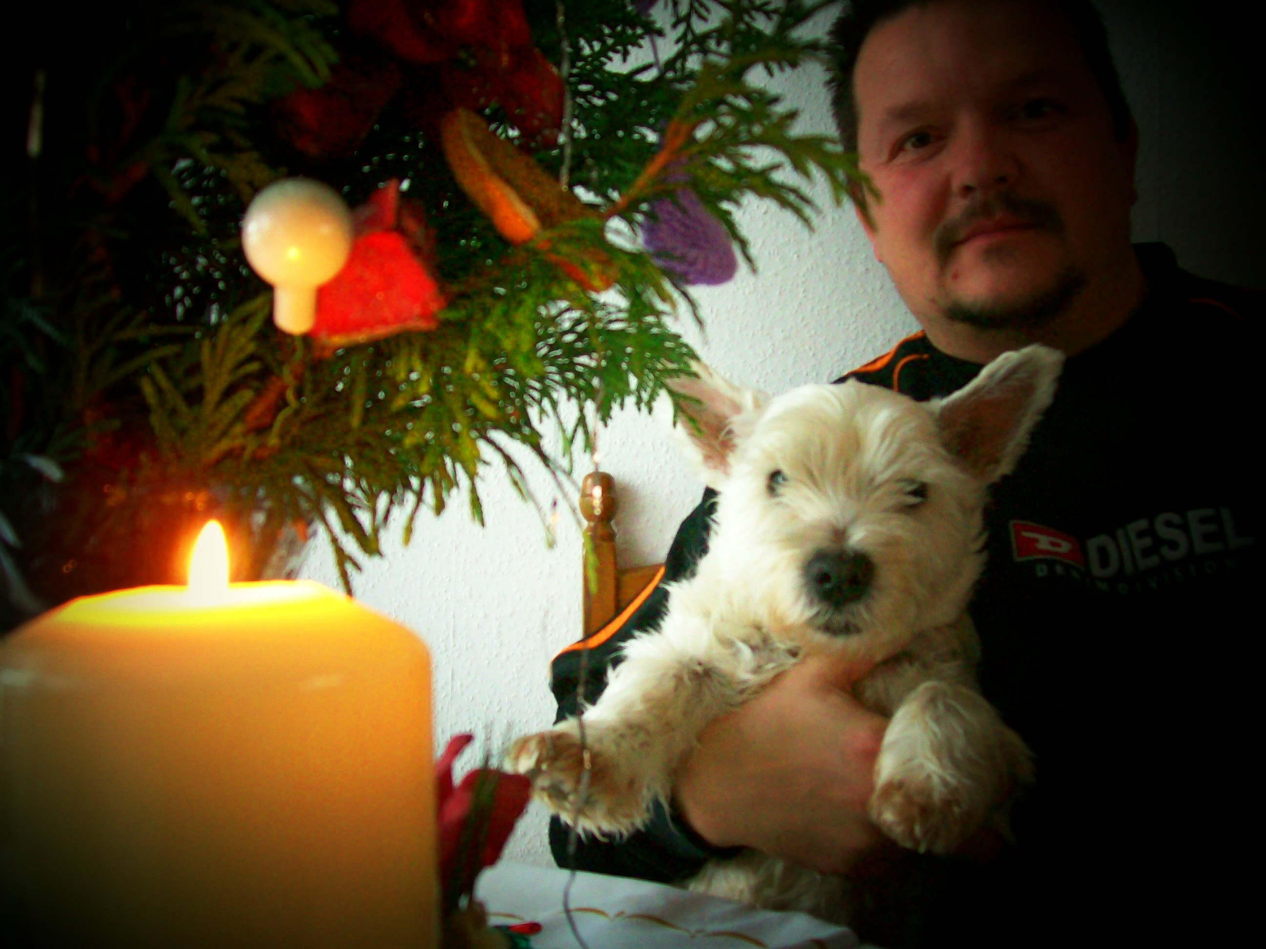 Weihnachten 2008