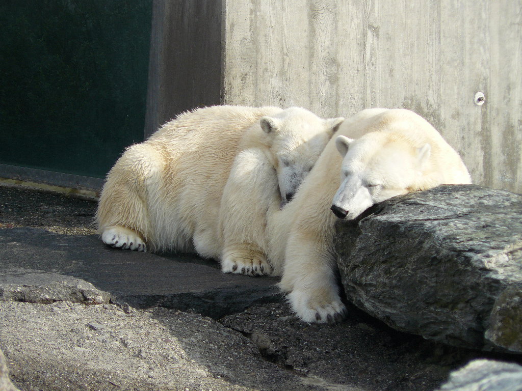 Wilbär und Corinna